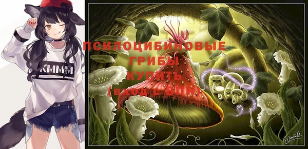 стаф Коряжма