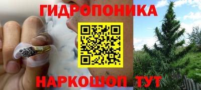 сатива Азнакаево