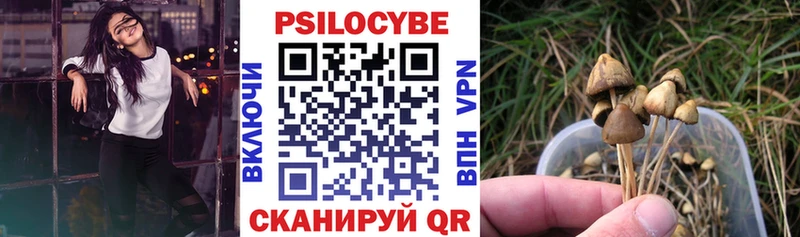 Галлюциногенные грибы Psilocybe  Усть-Кут 
