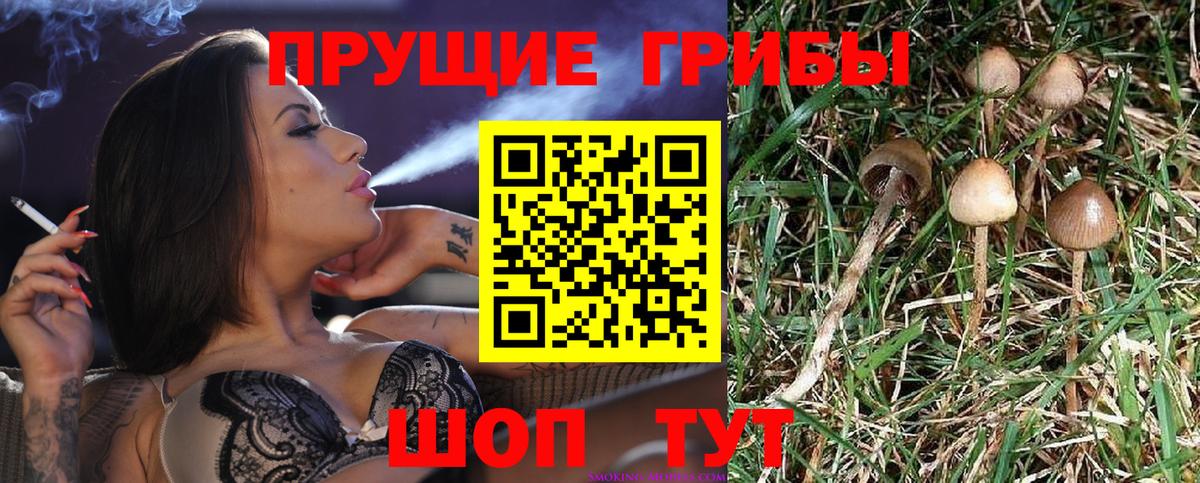 Галлюциногенные грибы ЛСД  Усть-Кут  Галлюциногенные грибы MAGIC MUSHROOMS 